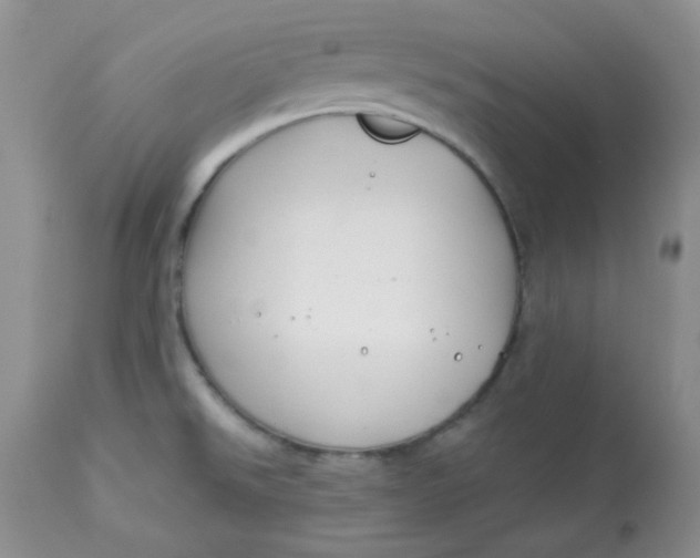 X0000113581526200910091450