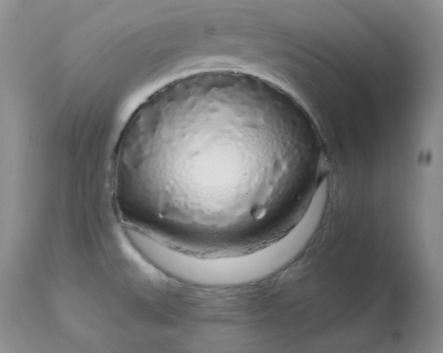 X0000113581527200910091450