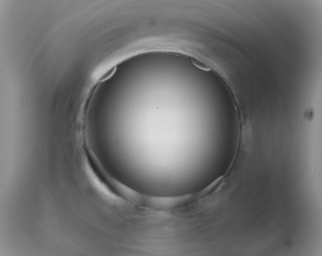 X0000113581528200910091450