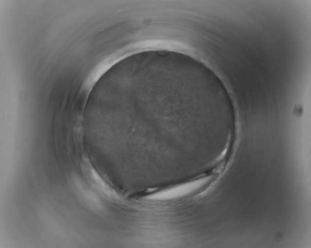 X0000113581529200910091450