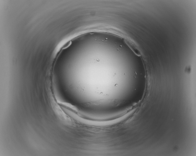 X0000113581530200910091450