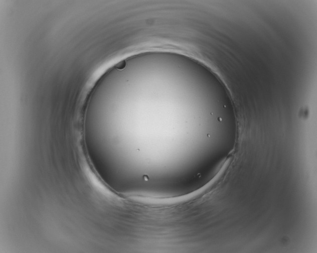 X0000113581531200910091450