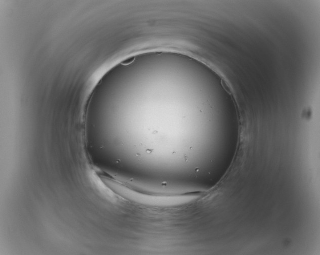 X0000113581532200910091450