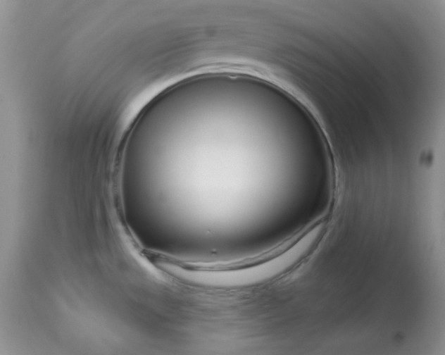 X0000113581533200910091450