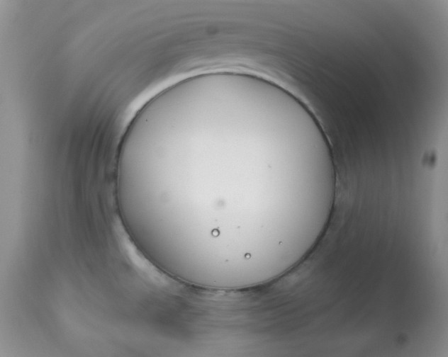 X0000113581534200910091450