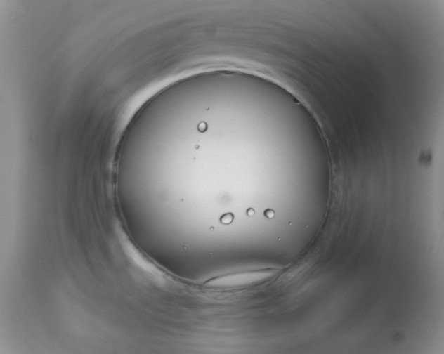 X0000113581535200910091450