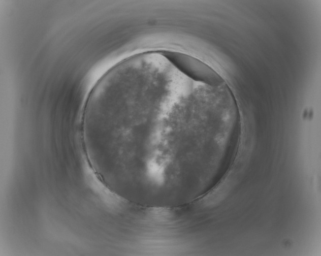 X0000113581536200910091450