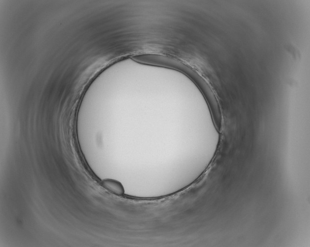 X0000113580001200910161550