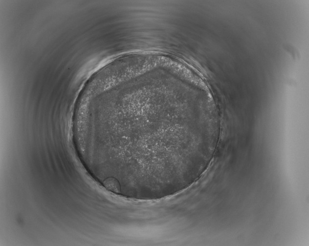 X0000113580002200910161550