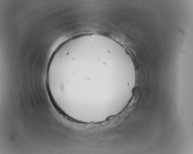 X0000113580003200910161550