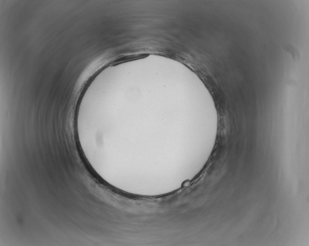 X0000113580004200910161550