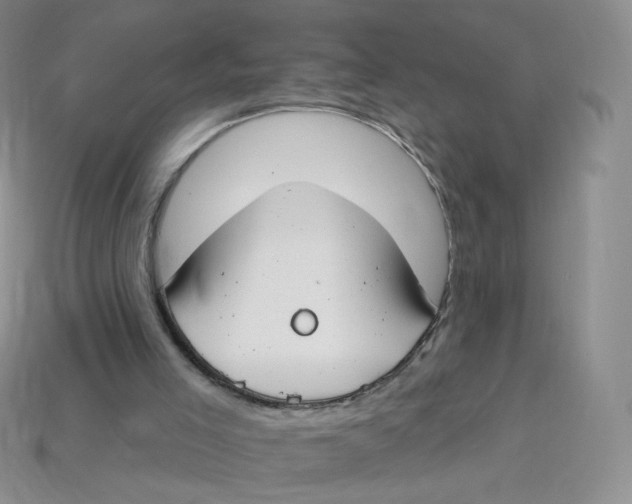 X0000113580005200910161550