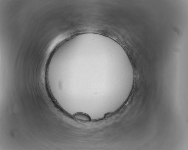 X0000113580006200910161550