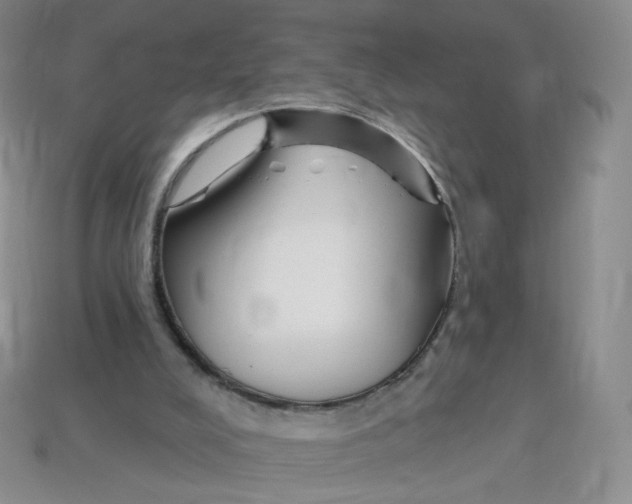 X0000113580008200910161550