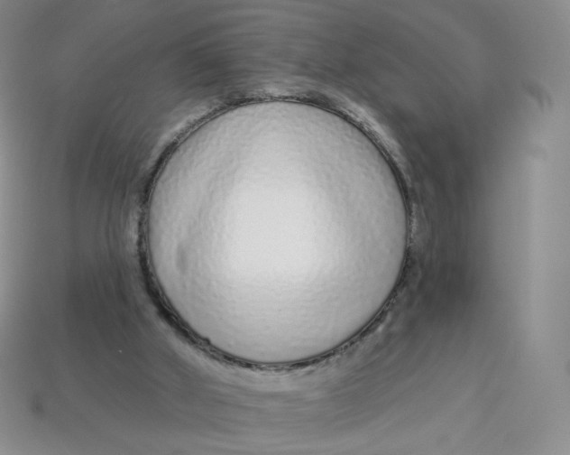 X0000113580010200910161550