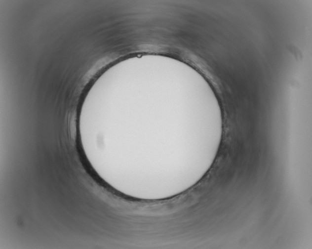 X0000113580011200910161550