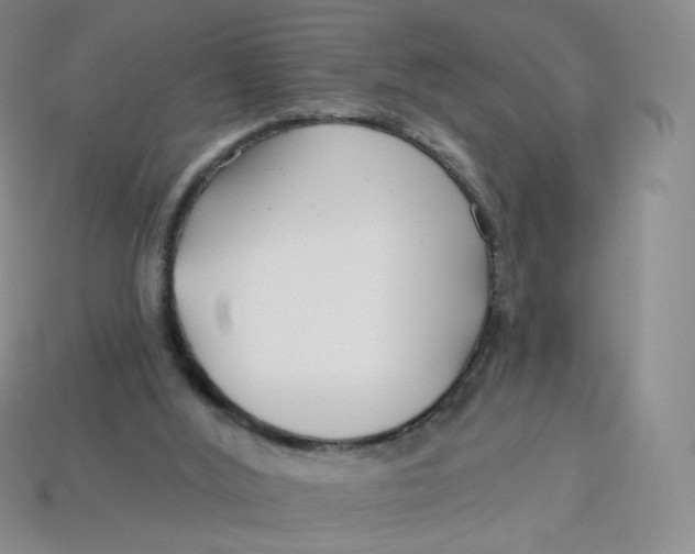 X0000113580012200910161550