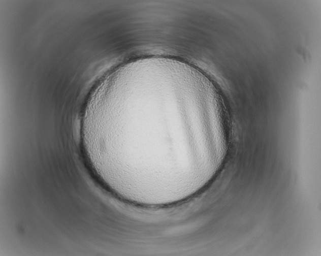 X0000113580014200910161550