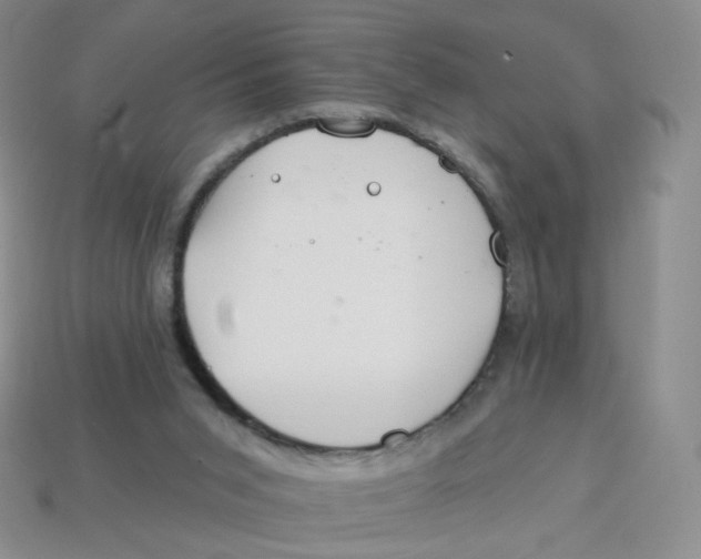 X0000113580015200910161550