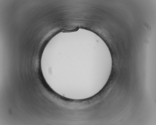 X0000113580016200910161550