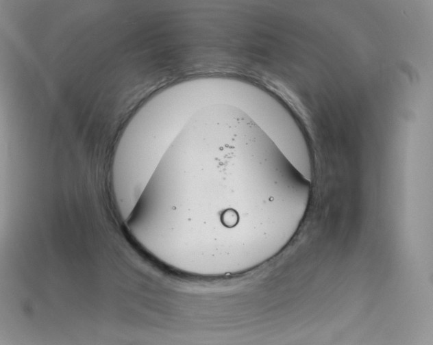 X0000113580017200910161550