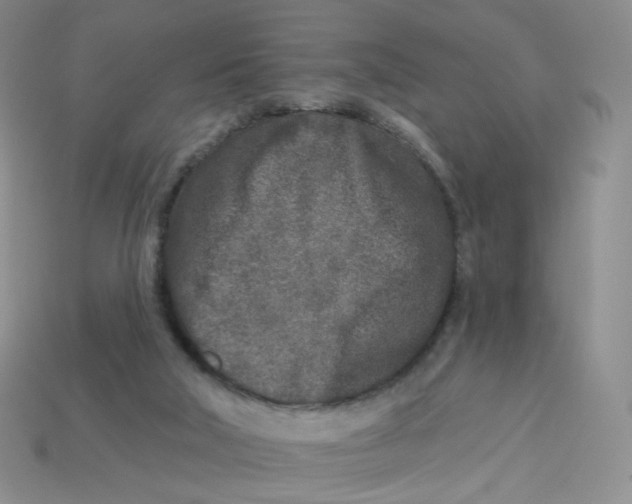 X0000113580018200910161550