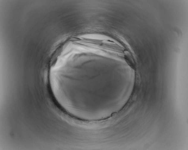 X0000113580019200910161550