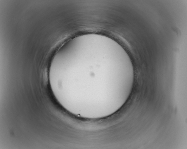 X0000113580020200910161549