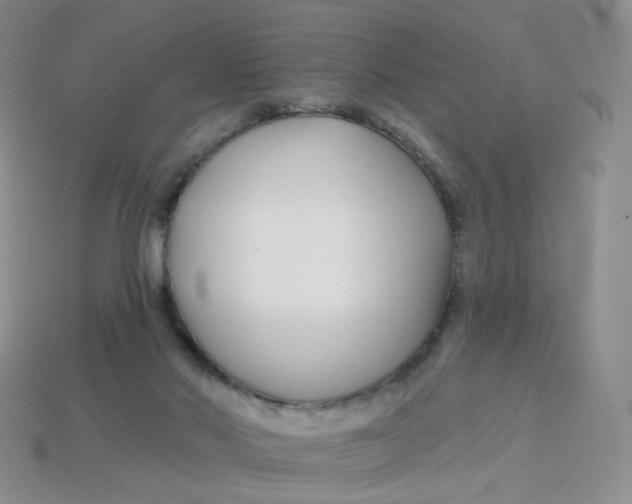 X0000113580022200910161549