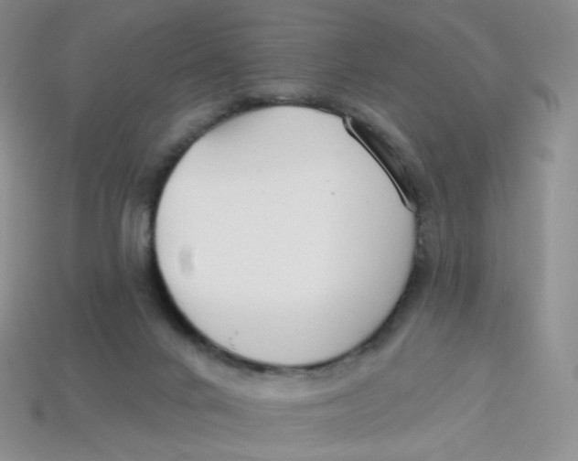 X0000113580024200910161549