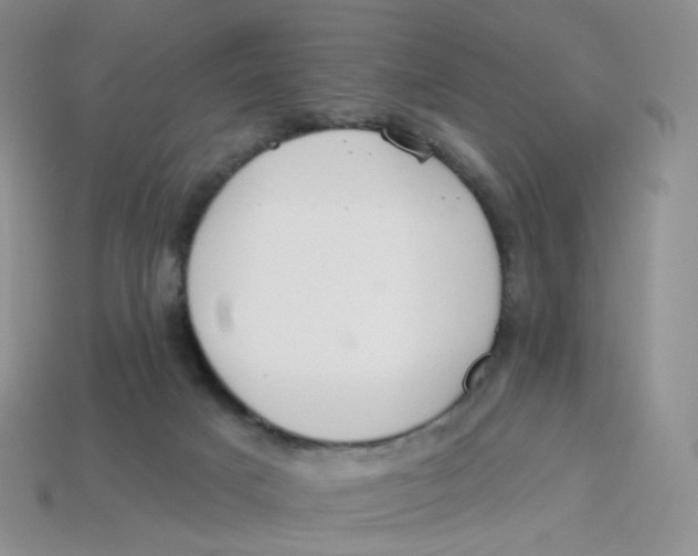 X0000113580025200910161549