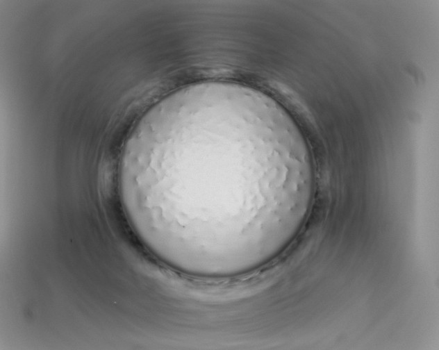 X0000113580026200910161549