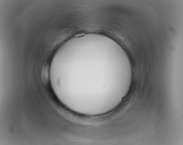 X0000113580028200910161549