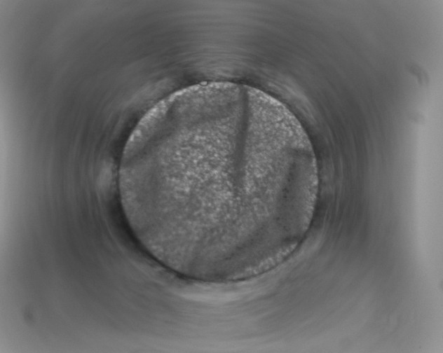 X0000113580029200910161549