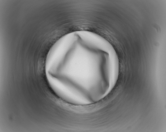 X0000113580030200910161549