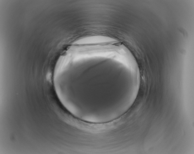 X0000113580031200910161549