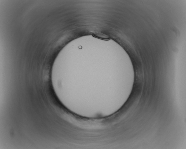 X0000113580032200910161549