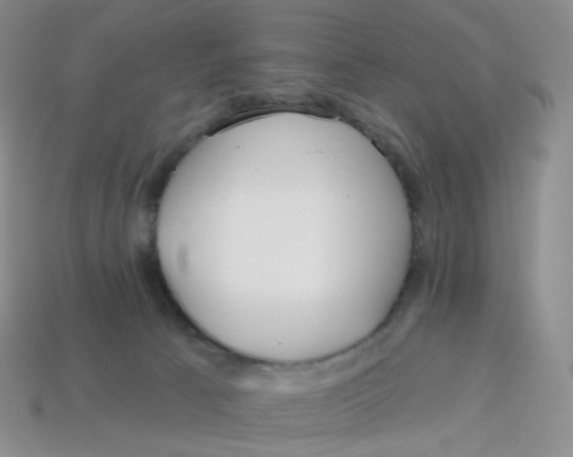 X0000113580033200910161549