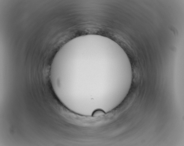 X0000113580034200910161549