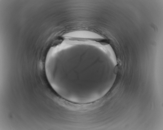 X0000113580035200910161549