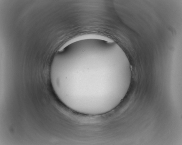 X0000113580036200910161549