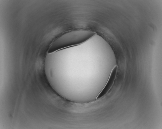 X0000113580037200910161549