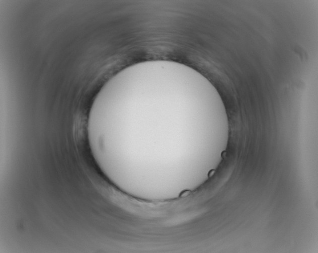 X0000113580038200910161549