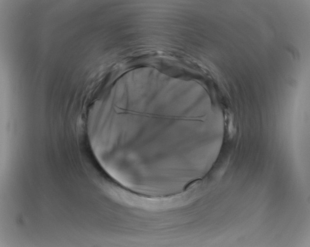 X0000113580039200910161549