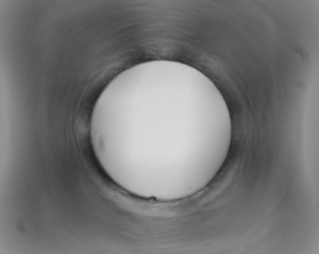 X0000113580040200910161549