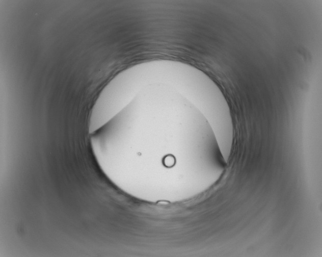 X0000113580041200910161549