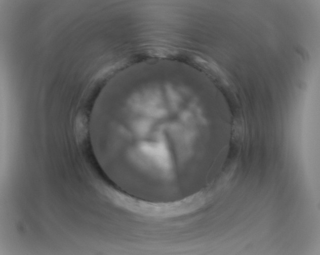 X0000113580043200910161549