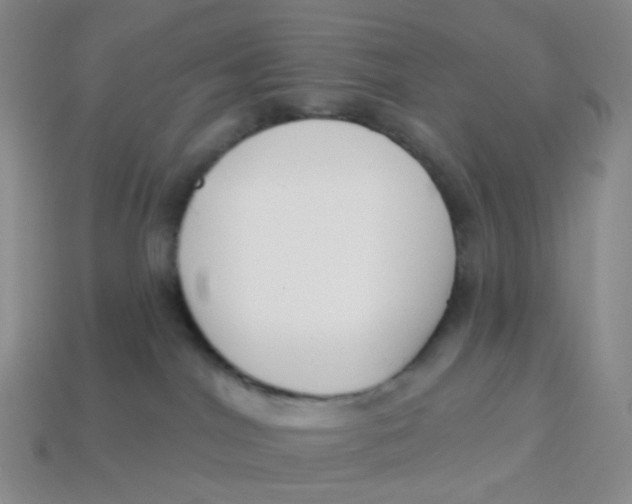 X0000113580044200910161549