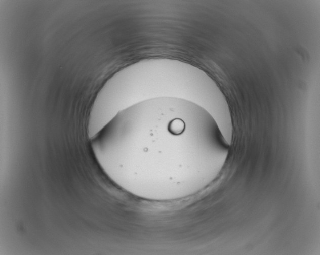 X0000113580045200910161549