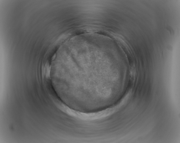 X0000113580046200910161549